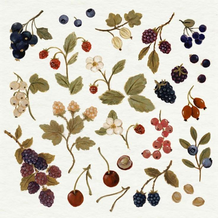 Harvest Symphony: Sun-Kissed Berry Selection